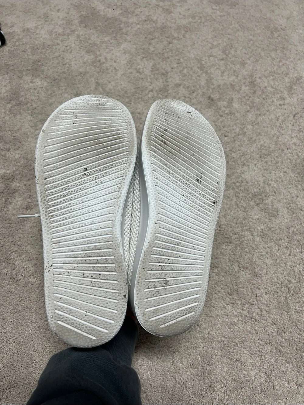 Allbirds Cruiser sneakers